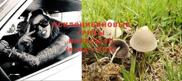 ГАЛЛЮЦИНОГЕННЫЕ ГРИБЫ Верея