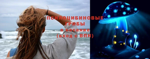 молекула духа Верхний Тагил
