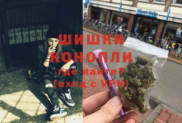 ГАЛЛЮЦИНОГЕННЫЕ ГРИБЫ Верея