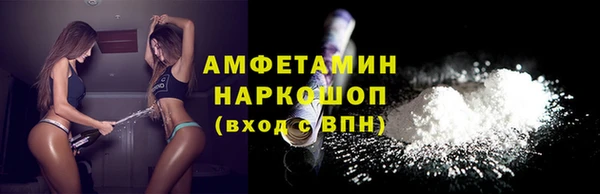 ГАЛЛЮЦИНОГЕННЫЕ ГРИБЫ Верея
