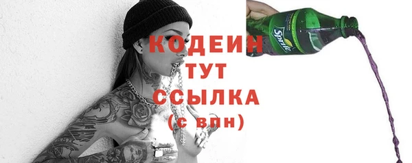 молекула духа Верхний Тагил
