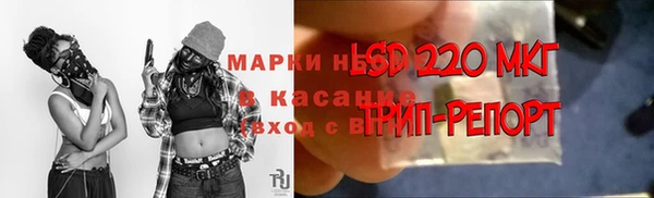 ГАЛЛЮЦИНОГЕННЫЕ ГРИБЫ Верея
