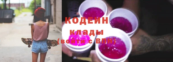 ГАЛЛЮЦИНОГЕННЫЕ ГРИБЫ Верея