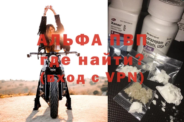 ГАЛЛЮЦИНОГЕННЫЕ ГРИБЫ Верея