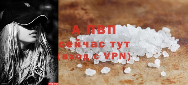 ГАЛЛЮЦИНОГЕННЫЕ ГРИБЫ Верея