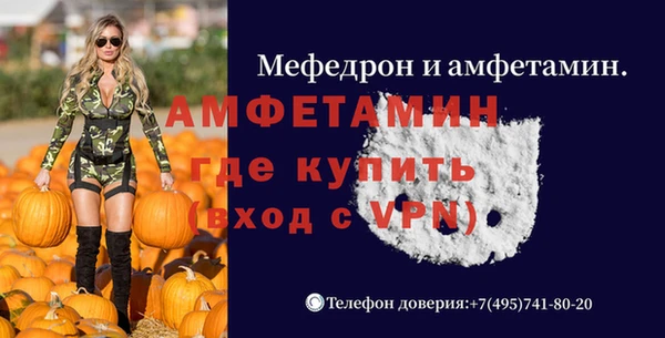ГАЛЛЮЦИНОГЕННЫЕ ГРИБЫ Верея